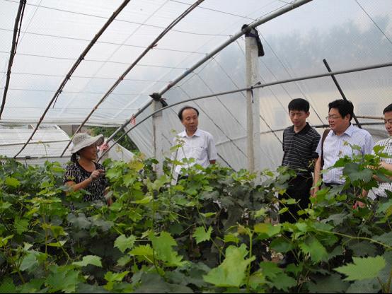 省社科联携手南京农业大学赴灌南开展“三解三促”活动剪影