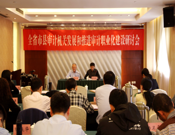 全省审计机关发展暨推进审计职业化建设研讨会在宁召开